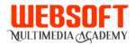 websoft multimedia logo